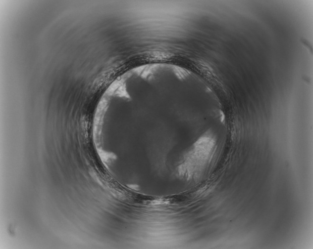 X0000102480366200809051402