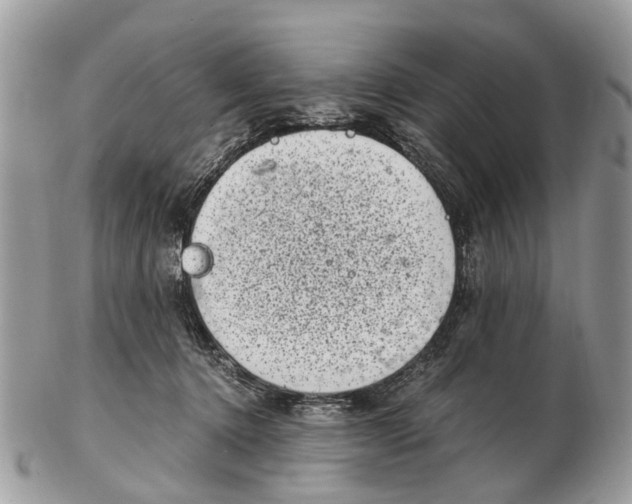 X0000102480368200809051402