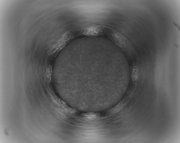 X0000102480370200809051402