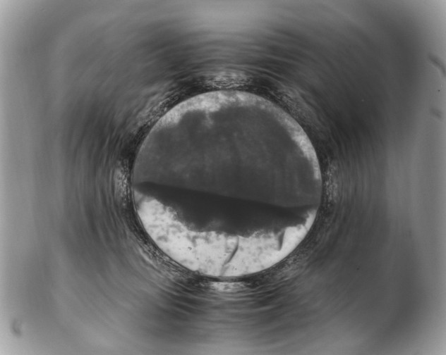 X0000102480371200809051402