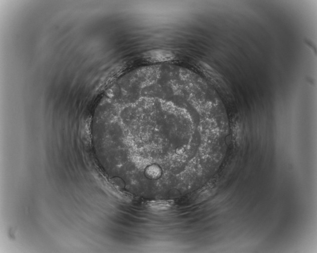 X0000102480373200809051402