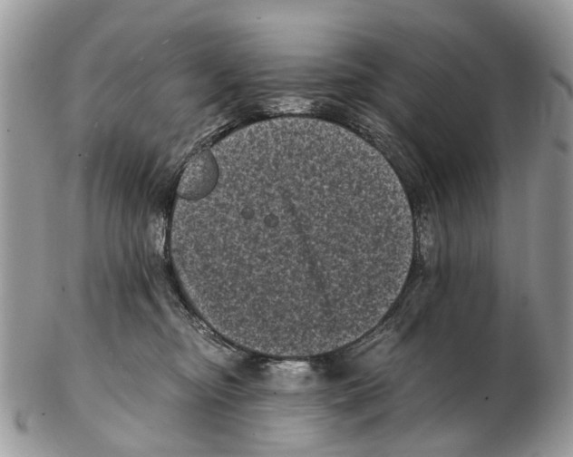 X0000102480374200809051402