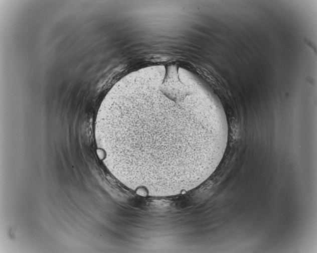 X0000102480376200809051402