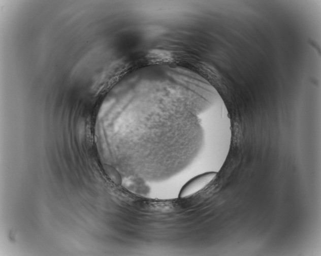 X0000102480377200809051402