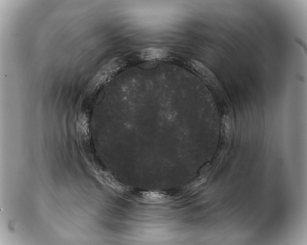 X0000102480380200809051402