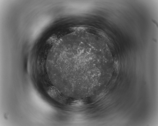 X0000102480381200809051402