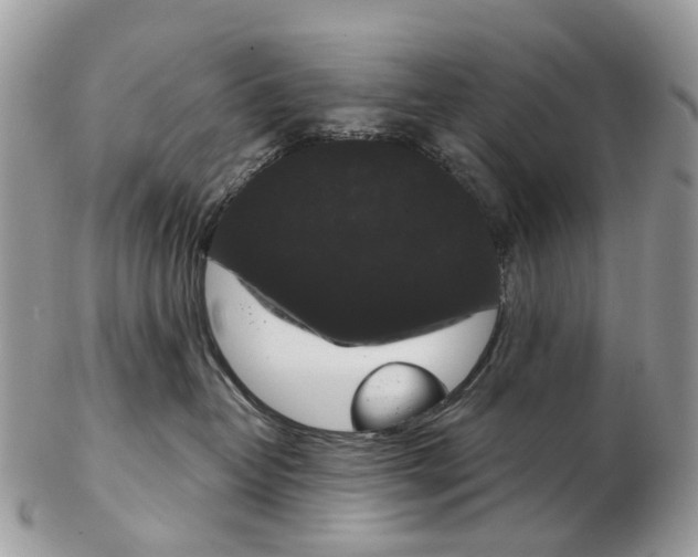 X0000102480382200809051402