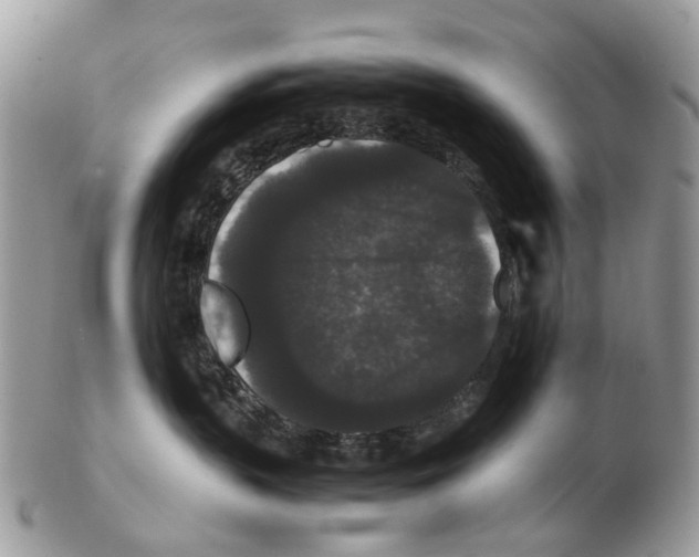 X0000102480383200809051402