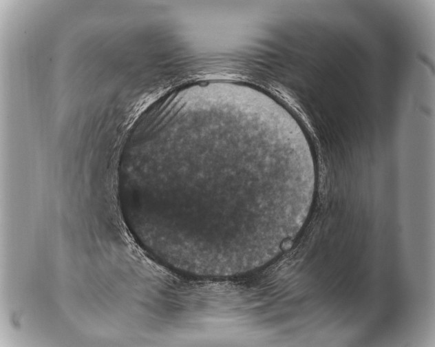 X0000102480385200809051401