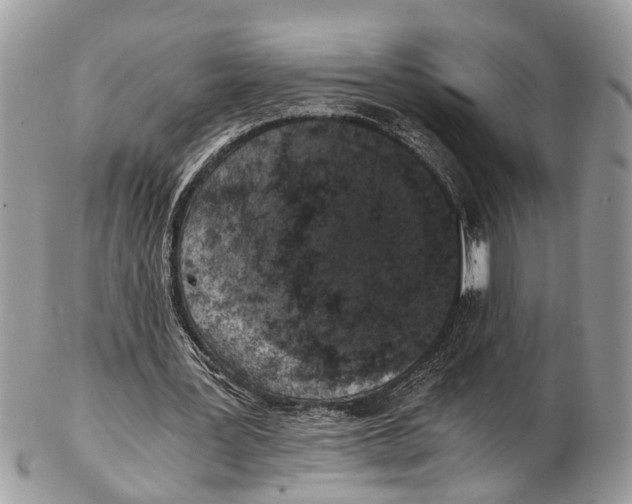 X0000102480387200809051401