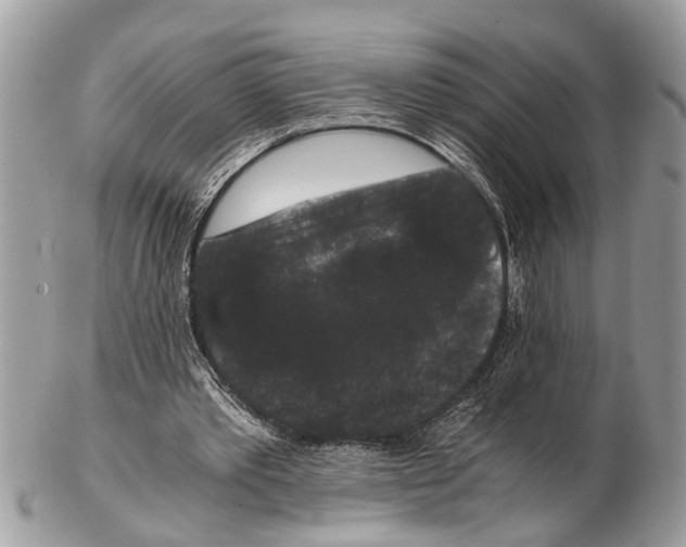 X0000102480389200809051401