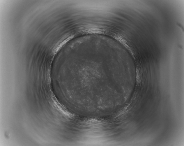 X0000102480390200809051401