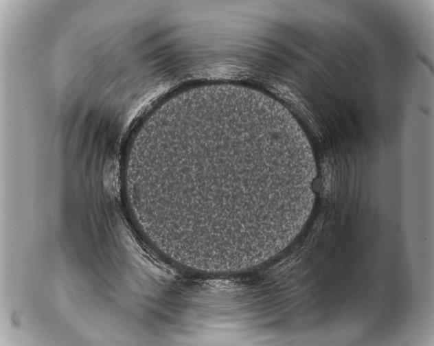 X0000102480392200809051401