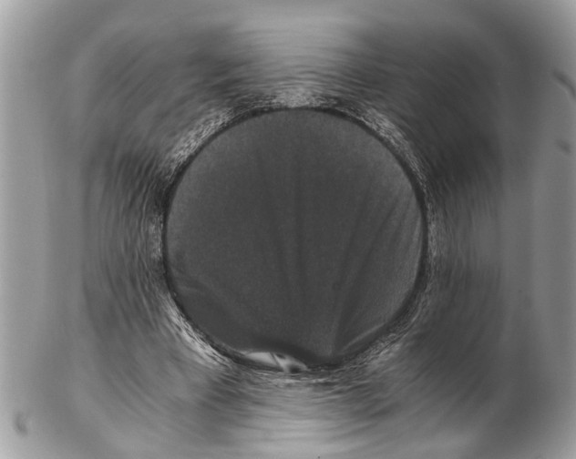 X0000102480393200809051401