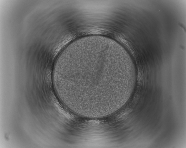 X0000102480394200809051401