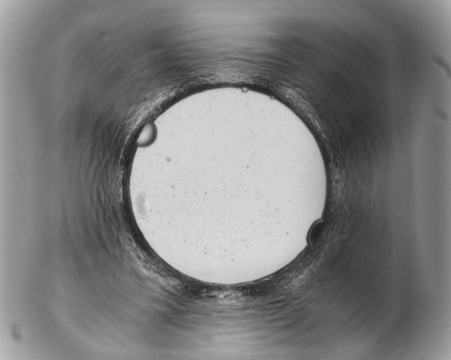 X0000102480395200809051401