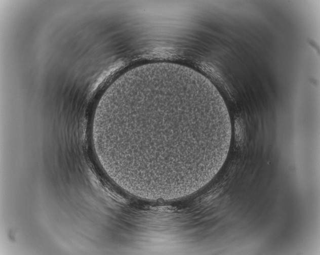 X0000102480396200809051401