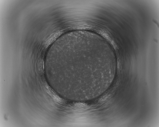 X0000102480397200809051401