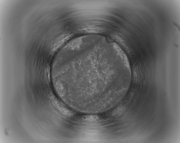 X0000102480398200809051401