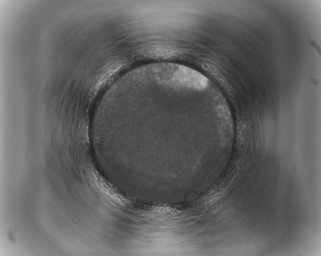 X0000102480399200809051401