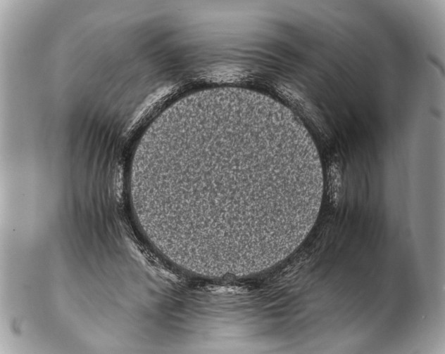 X0000102480400200809051401