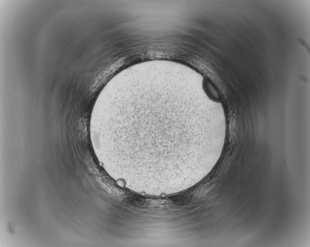 X0000102480401200809051401