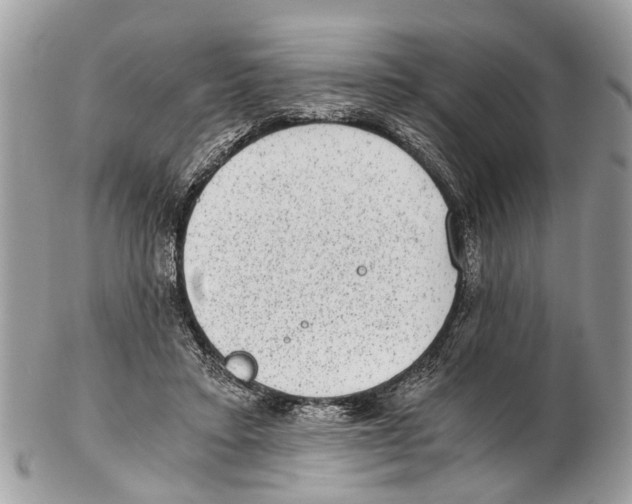 X0000102480403200809051401