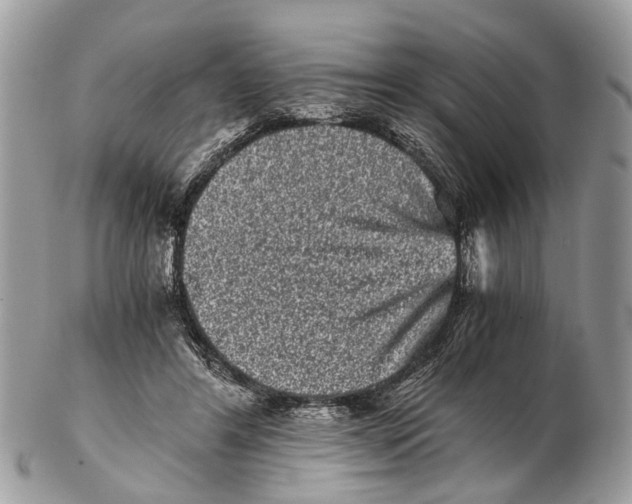 X0000102480404200809051401