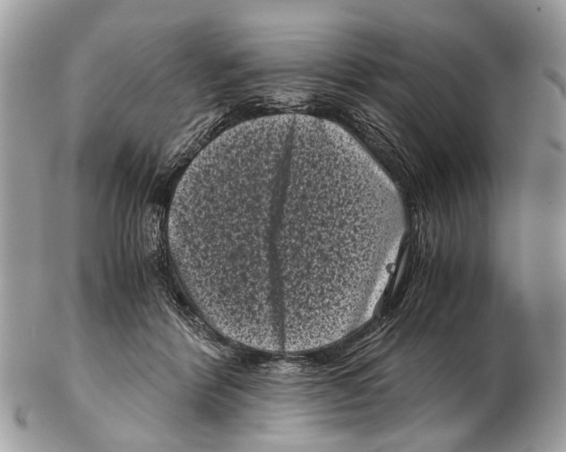 X0000102480412200809051401