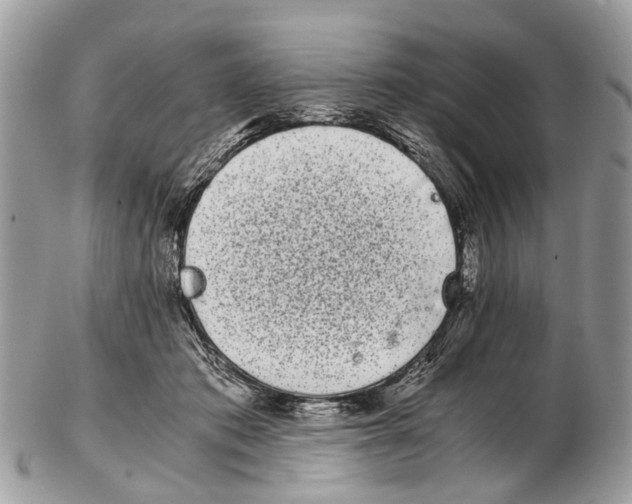 X0000102480413200809051401