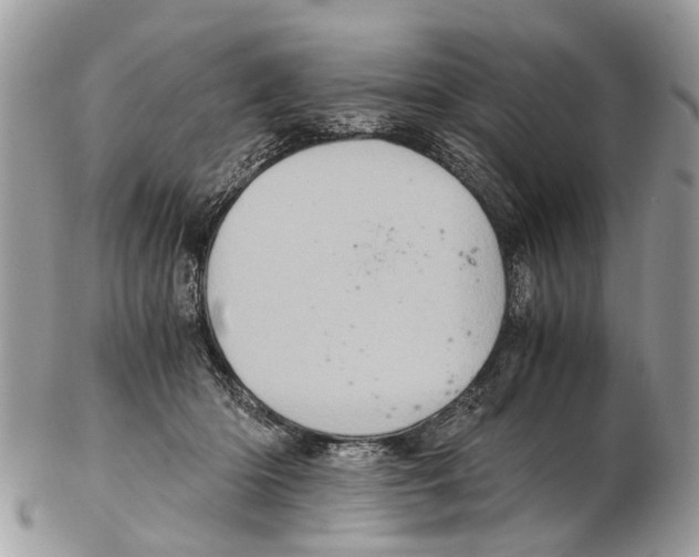 X0000102480414200809051401