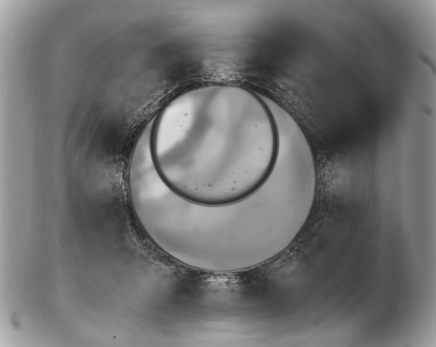 X0000102480415200809051401