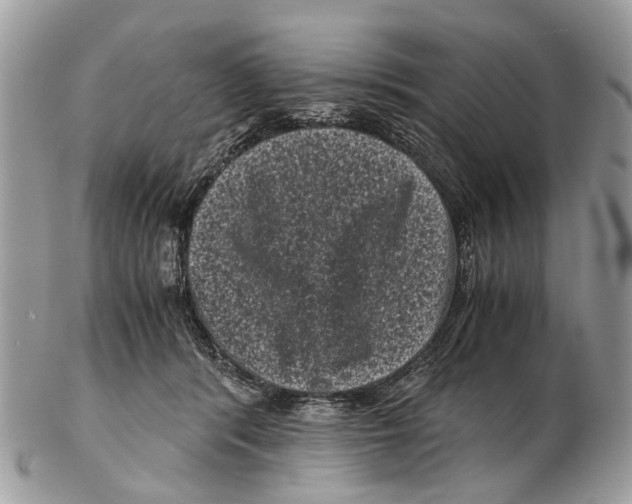 X0000102480416200809051401