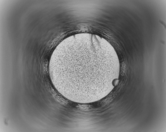 X0000102480417200809051401