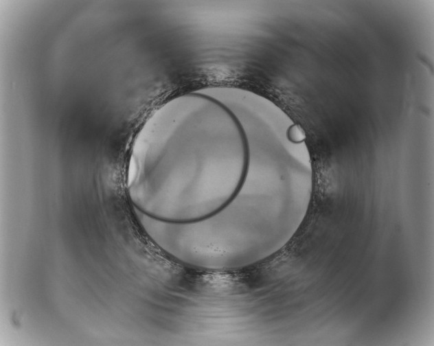 X0000102480419200809051401