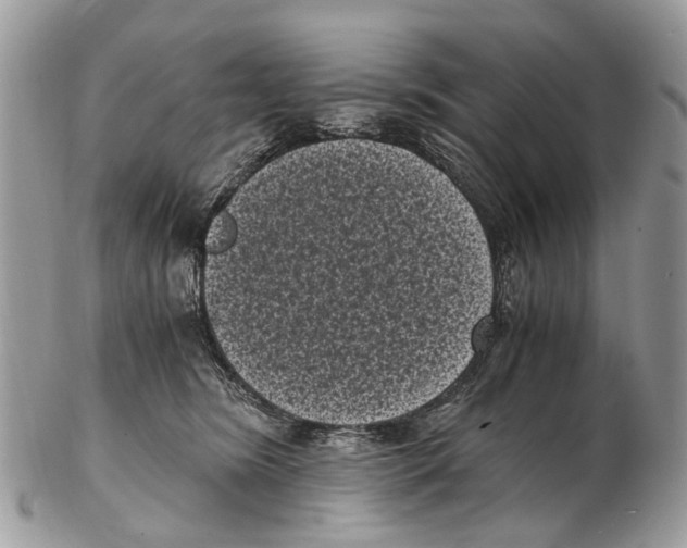 X0000102480420200809051401