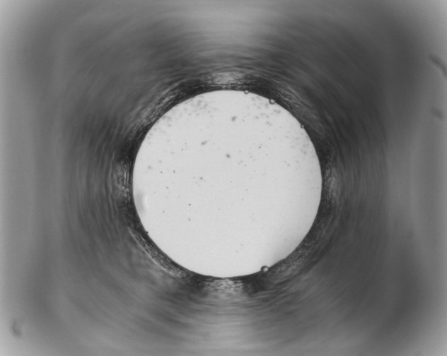 X0000102480421200809051401