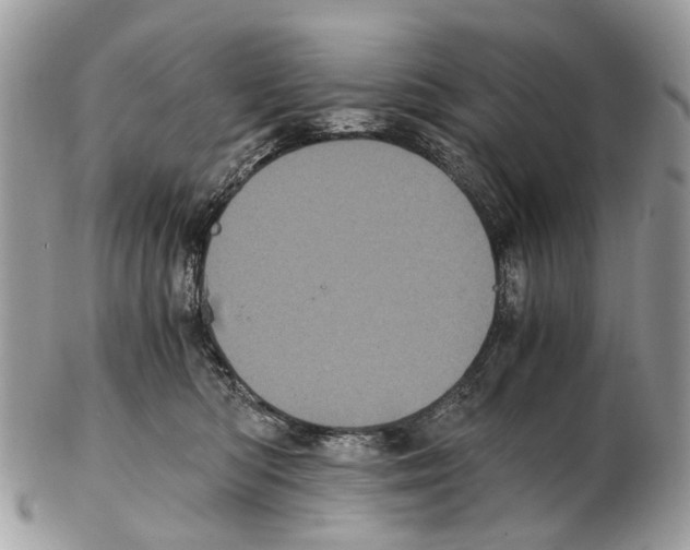 X0000102480422200809051401