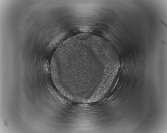 X0000102480424200809051401