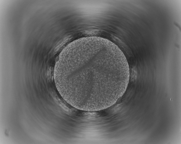 X0000102480428200809051400