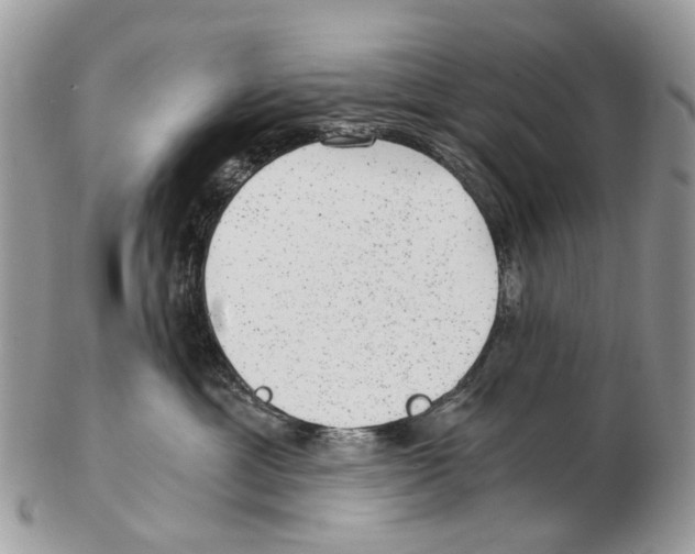 X0000102480429200809051400