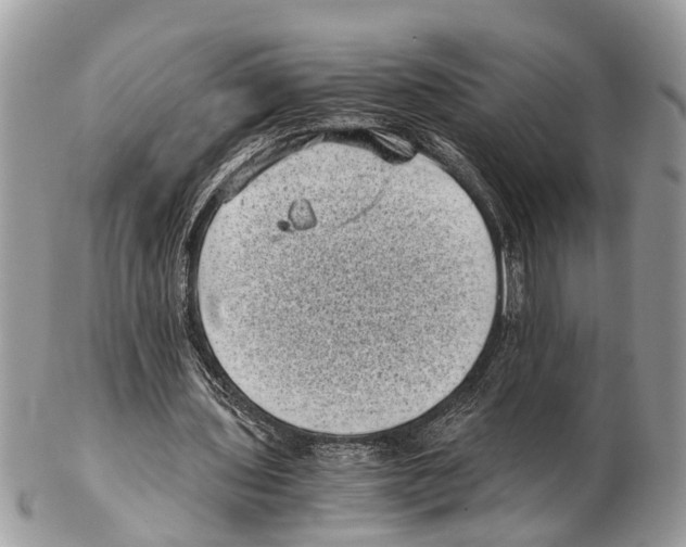 X0000102480435200809051400