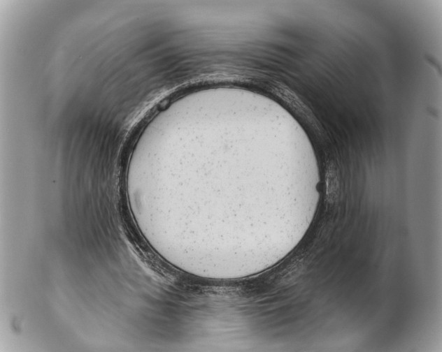 X0000102480436200809051400