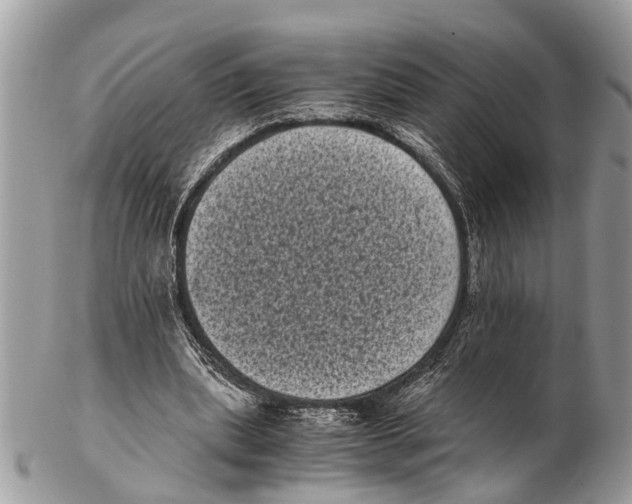 X0000102480439200809051400