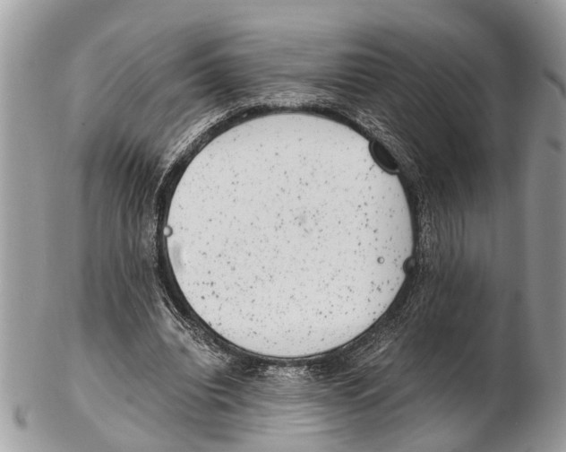 X0000102480440200809051400