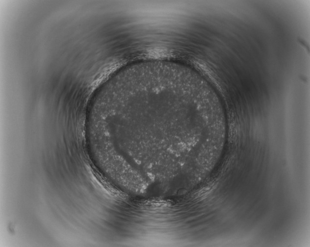 X0000102480443200809051400