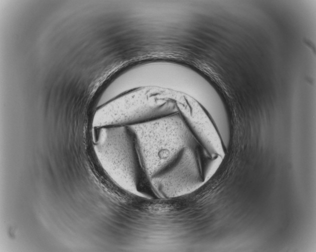 X0000102480444200809051400