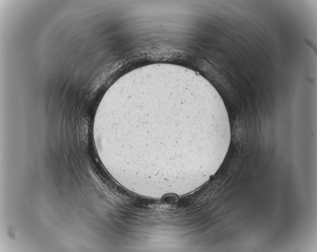 X0000102480448200809051400