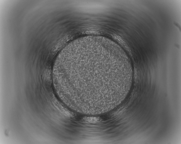 X0000102480449200809051400