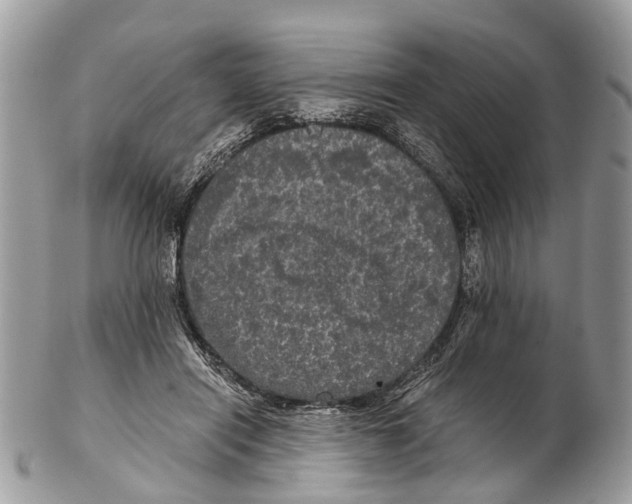 X0000102480454200809051400